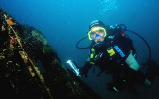 Cursos Open Water Diver 